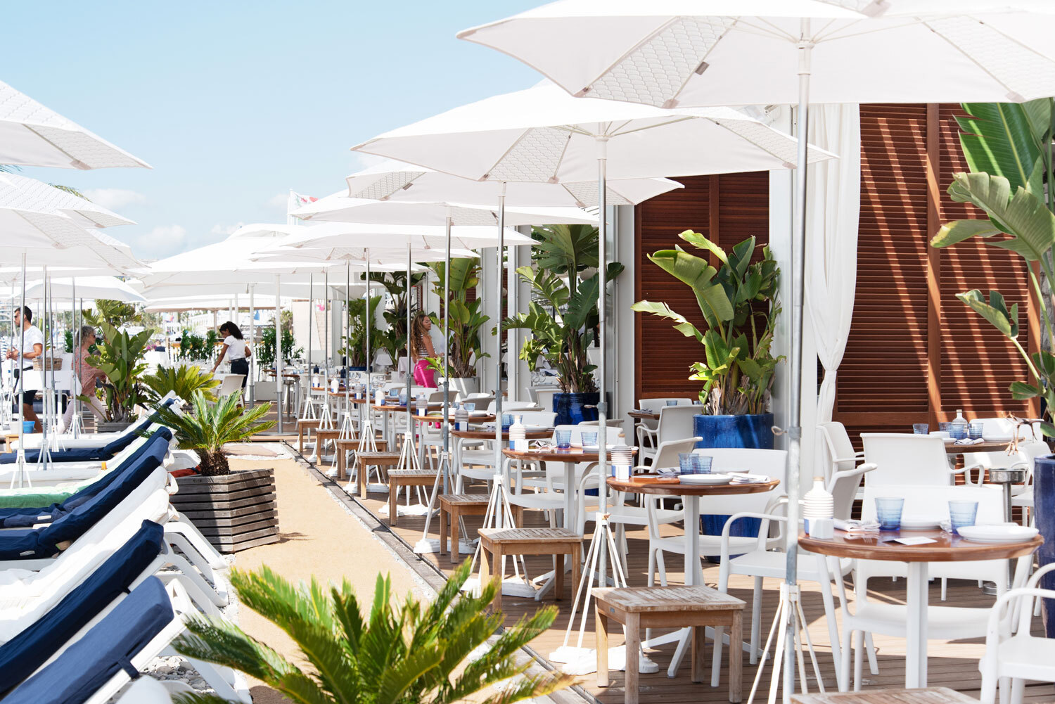 Discover the beach restaurant le galet in Nice. photo 1
