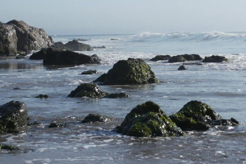 Comment faire briller des galets ramassés sur la plage : guide