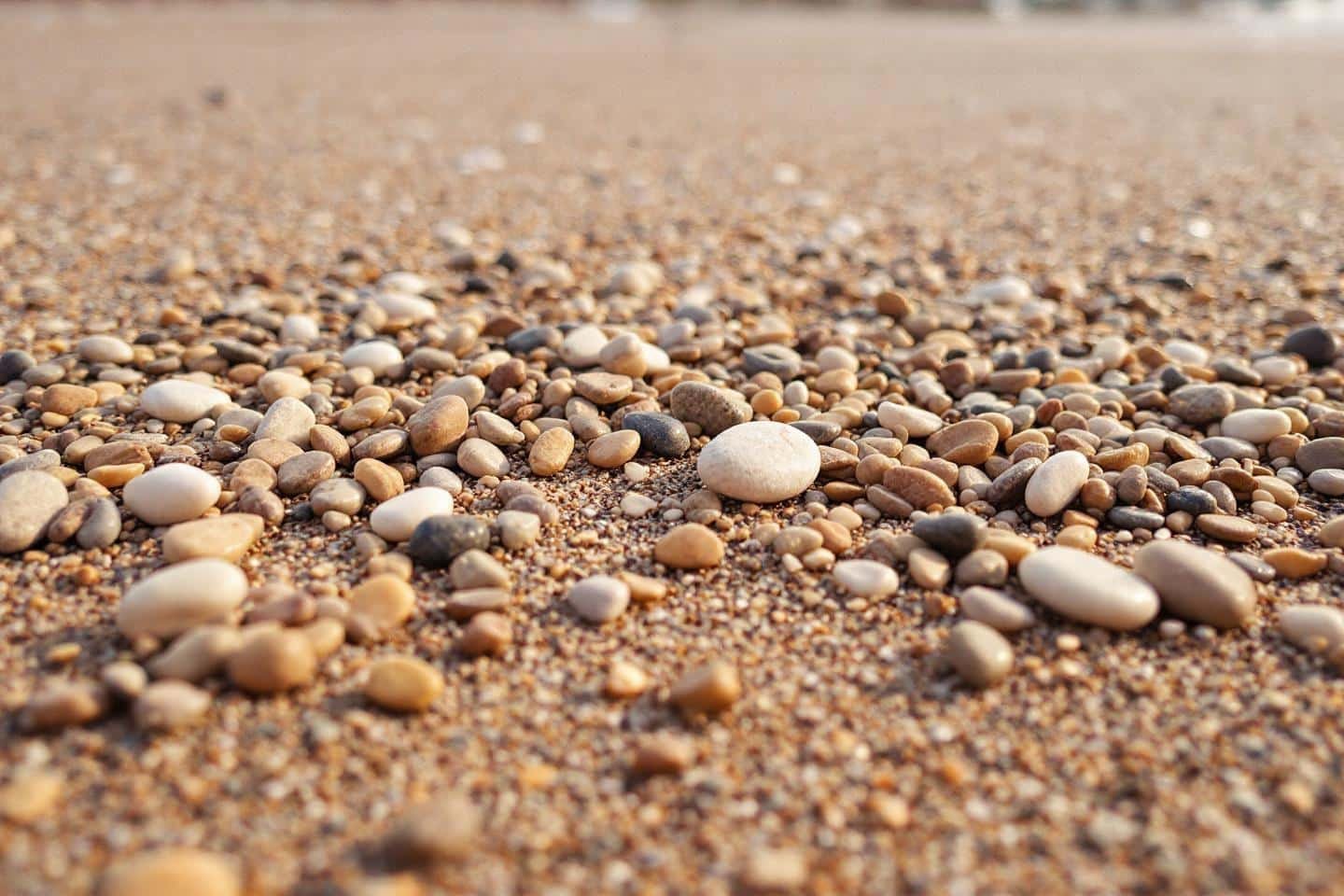 Pourquoi ne faut-il pas ramasser les galets sur la plage : raisons