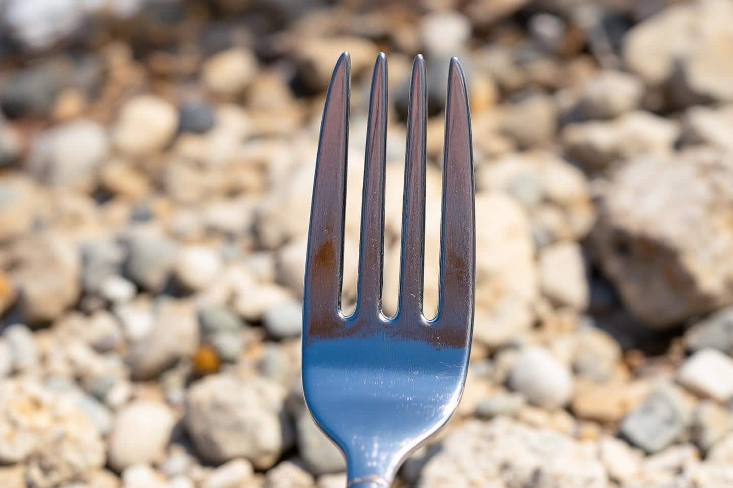 La fourchette de la goële : guide et informations pratiques